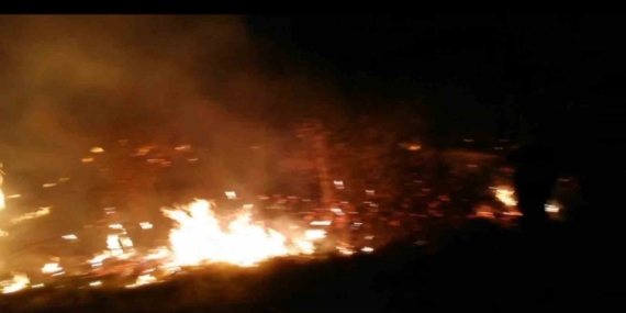 Malatya'da Sazlık Yangını: Doğanın Kayıpları ve Mücadele Malatya’da Sazlık Yangını: Doğanın Kayıpları ve Mücadele