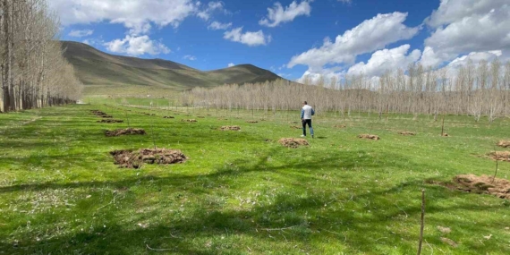 Muradiye’de Meyvecilik Alanında Yenilikler ve Gelişmeler