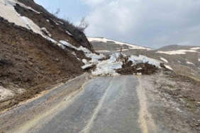 musta-sarsici-heyelan-olayi-doga-yeniden-harekete-gecti-fQ8A9nqp.jpg