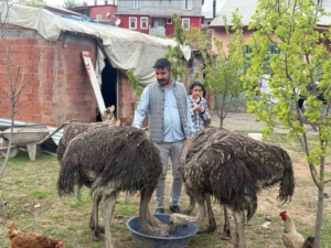 tuzlucanin-yeni-maskotlari-deve-kuslari-YMPW9Un4.jpg