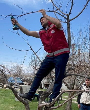 vanda-meyve-agaclari-budama-egitimi-verim-artisi-icin-ipuclari-J8gDXXAK.jpg