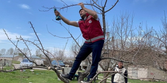 Van'da Meyve Ağaçları Budama Eğitimi: Verim Artışı İçin İpuçları Van’da Meyve Ağaçları Budama Eğitimi: Verim Artışı İçin İpuçları