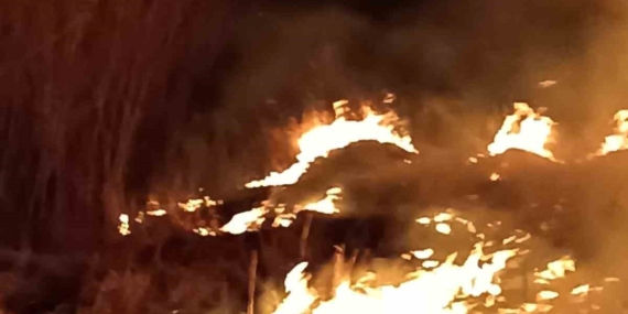 Van’ın Gevaş İlçesinde Sazlık Alanlarında Ciddi Yangınlar: Son İki Günde Üç Alan Yandı