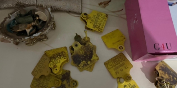 Ağrı'da Hayvan Sevk Belgesi Operasyonunda 9 Şüpheli Gözaltında: Usulsüzlük İddiaları Ağrı’da Hayvan Sevk Belgesi Operasyonunda 9 Şüpheli Gözaltında: Usulsüzlük İddiaları