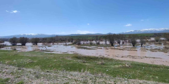 Ağrı'da Murat Nehri Taşarak Tarım Alanlarını Su Bastı Ağrı’da Murat Nehri Taşarak Tarım Alanlarını Su Bastı