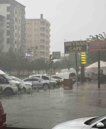 batmanda-dolu-yagisi-balkon-kapisini-mermi-gibi-deldi-doganin-gucu-6UsybsGy.jpg