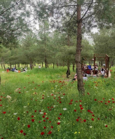 batmandaki-malabadi-tabiat-parkina-artan-ziyaretci-yogunlugu-JwiLdGtu.jpg