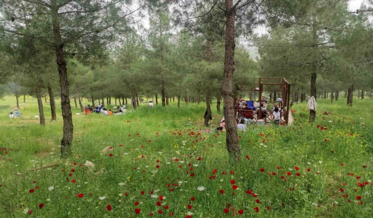 batmandaki-malabadi-tabiat-parkina-artan-ziyaretci-yogunlugu-JwiLdGtu.jpg