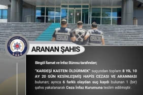 Bingöl'de 8 Yıl Hapis Cezası Olan Zanlı Yakalandı: Olayın Detayları bingolde-8-yil-hapis-cezasi-olan-zanli-yakalandi-olayin-detaylari-DePsvmVX.jpg