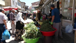 daglarin-sifali-hazineleri-otlarin-saglik-ve-ekonomi-uzerindeki-etkileri-pqmVWTV7.jpg