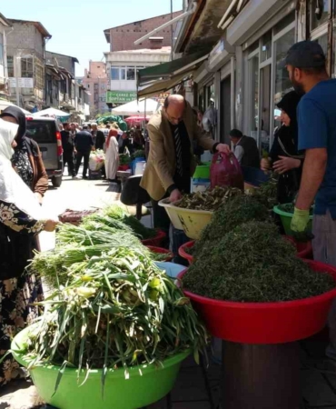daglarin-sifali-hazineleri-otlarin-saglik-ve-ekonomi-uzerindeki-etkileri-pqmVWTV7.jpg