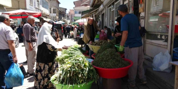 Dağların Şifalı Hazineleri: Otların Sağlık ve Ekonomi Üzerindeki Etkileri