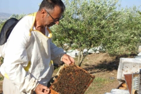 doktorun-annesine-verdigi-bal-tavsiyesi-hayatini-degistiren-bir-oneri-gebKne6m.jpg