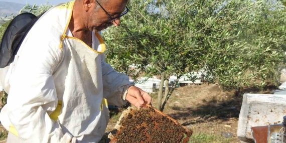 Doktorun Annesine Verdiği Bal Tavsiyesi: Hayatını Değiştiren Bir Öneri Doktorun Annesine Verdiği Bal Tavsiyesi: Hayatını Değiştiren Bir Öneri