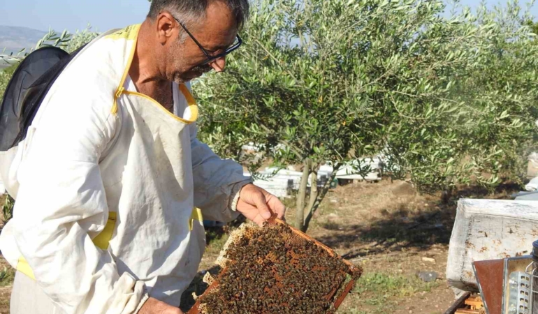 doktorun-annesine-verdigi-bal-tavsiyesi-hayatini-degistiren-bir-oneri-gebKne6m.jpg