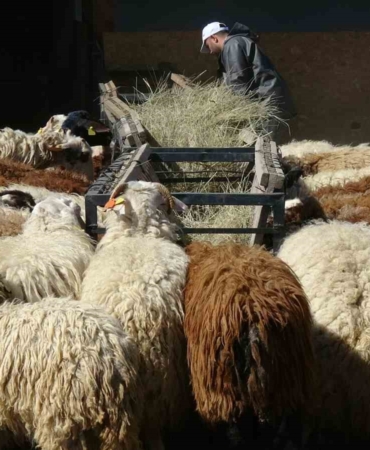 egitim-hayatina-adim-atan-kurbanliklar-srRcevyi.jpg