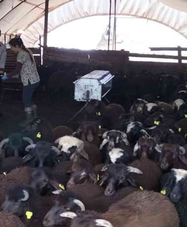 elazigda-asilama-ve-kupeleme-calismalarinda-yeni-gelismeler-YKWa7GIC.jpg