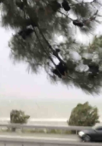 elazigda-firtina-doganin-gucu-kendini-gosterdi-2FuEH88N.jpg