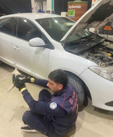 elazigda-motor-bolumune-sikisan-kedi-itfaiye-ekiplerince-kurtarildi-vPQli95D.jpg