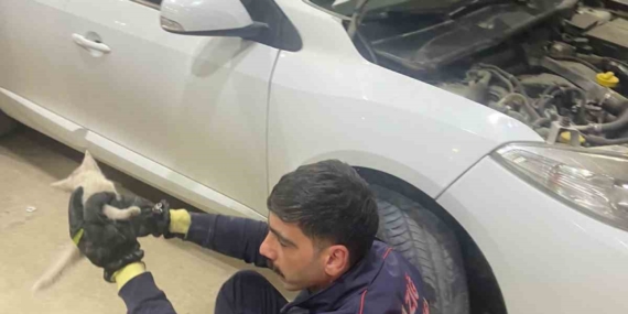 Elazığ'da Motor Bölümüne Sıkışan Kedi, İtfaiye Ekiplerince Kurtarıldı Elazığ’da Motor Bölümüne Sıkışan Kedi, İtfaiye Ekiplerince Kurtarıldı