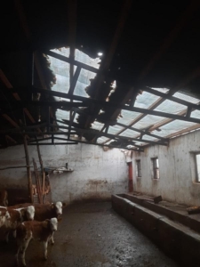 elazigda-siddetli-firtina-ahirin-catisini-ucurdu-lT1GQOFH.jpg