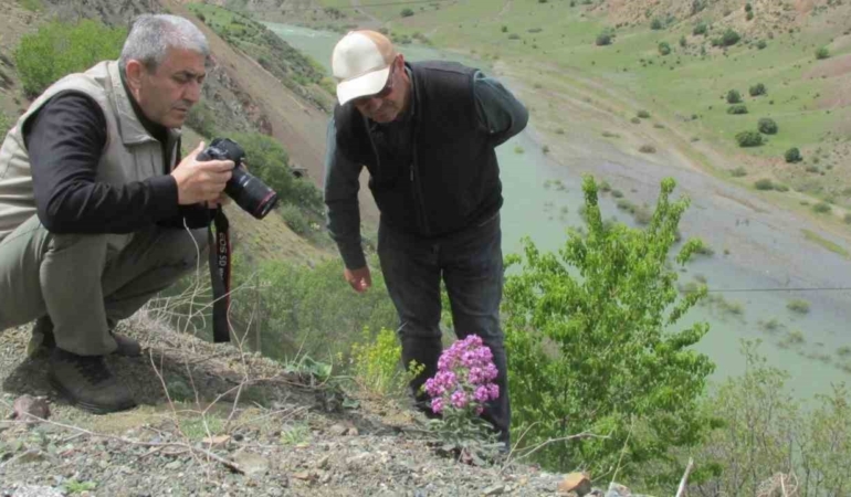 elazigda-ulusal-biyolojik-cesitlilik-ve-envanter-izleme-projesi-doganin-korunmasi-icin-yeni-bir-adim-pAEX8y8d.jpg