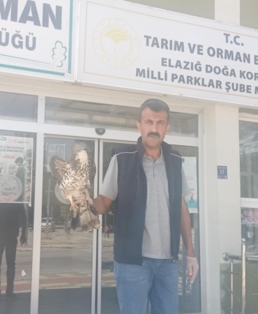 elazigda-yarali-sahin-icin-hayat-kurtaran-tedavi-sureci-basladi-4FUNfRCl.jpg