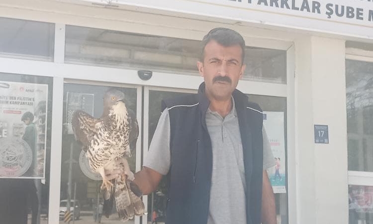 elazigda-yarali-sahin-icin-hayat-kurtaran-tedavi-sureci-basladi-4FUNfRCl.jpg