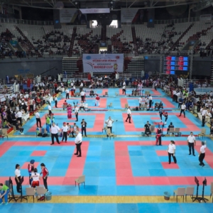 elazigli-sporcularin-uluslararasi-arenada-elde-ettigi-basarilar-5lGGTRvO.jpg