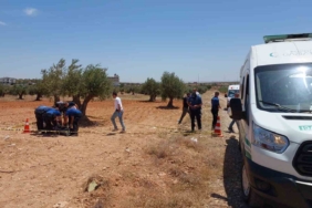 gaziantepte-gizemli-bir-olum-genc-zeytin-tarlasinda-bulundu-DyZBP22t.jpg