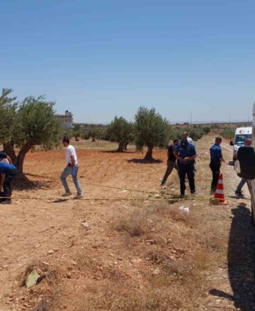 gaziantepte-gizemli-bir-olum-genc-zeytin-tarlasinda-bulundu-DyZBP22t.jpg
