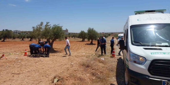 Gaziantep’te Gizemli Bir Ölüm: Genç Zeytin Tarlasında Bulundu