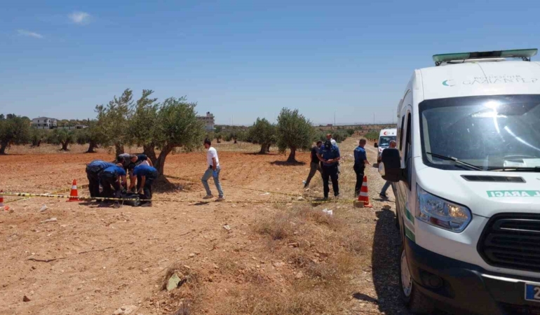 gaziantepte-gizemli-bir-olum-genc-zeytin-tarlasinda-bulundu-DyZBP22t.jpg