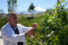 igdir-universitesinde-yetisen-guller-kozmetik-dunyasinda-yeni-bir-donem-baslatiyor-4FHBXInV.jpg