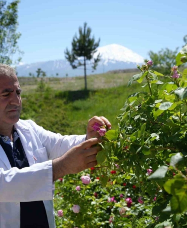 igdir-universitesinde-yetisen-guller-kozmetik-dunyasinda-yeni-bir-donem-baslatiyor-4FHBXInV.jpg