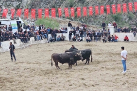 ispirde-bogalar-sahada-sahipleri-disarida-kaldi-beklenmedik-bir-kavga-NJQSwQW3.jpg