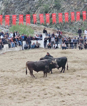 ispirde-bogalar-sahada-sahipleri-disarida-kaldi-beklenmedik-bir-kavga-NJQSwQW3.jpg