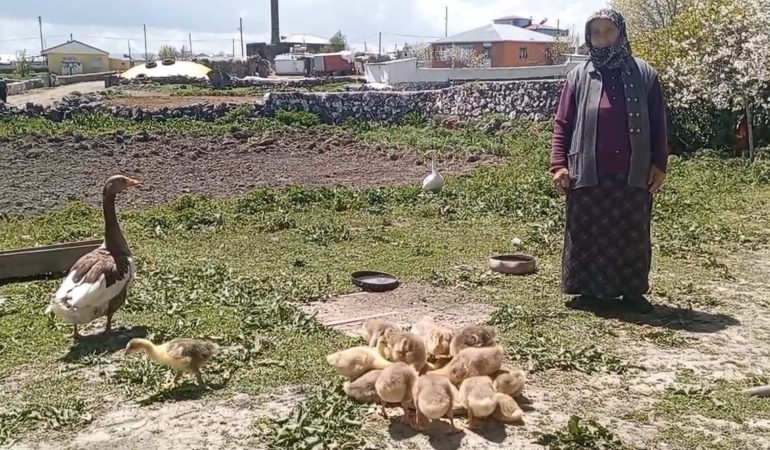 karsta-kaz-gram-altinla-rekabet-ediyor-essiz-bir-ekonomi-analizi-BQtAcQGe.jpg