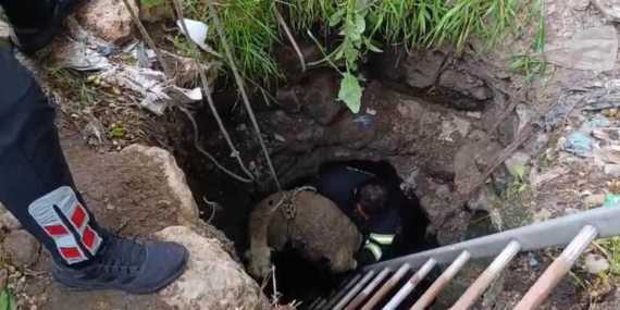 Kuyuya Düşen Koyun, İtfaiye Ekipleri Tarafından Hayata Döndürüldü Kuyuya Düşen Koyun, İtfaiye Ekipleri Tarafından Hayata Döndürüldü