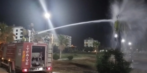 Mardin'de Palmiye Ağacına Yangın Verildi: Sıcak Havalarda Yangın Riski Artıyor Mardin’de Palmiye Ağacına Yangın Verildi: Sıcak Havalarda Yangın Riski Artıyor