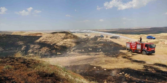 Siirt'te Yangın Felaketi: Ekili Alanlar Küller İçinde! Siirt’te Yangın Felaketi: Ekili Alanlar Küller İçinde!