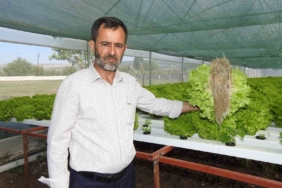 topraksiz-tarimla-30-gunde-yetistirilen-marul-70-gunde-olacak-isletmeler-icin-yeni-bir-cozum-nd5JrTCi.jpg