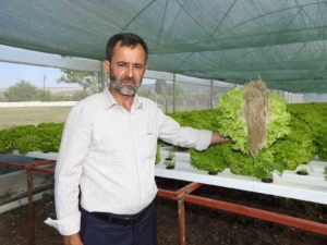 topraksiz-tarimla-30-gunde-yetistirilen-marul-70-gunde-olacak-isletmeler-icin-yeni-bir-cozum-nd5JrTCi.jpg