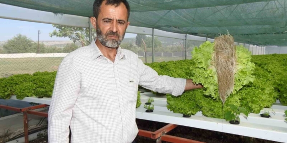 Topraksız Tarımla 30 Günde Yetiştirilen Marul: 70 Günde Olacak İşletmeler İçin Yeni Bir Çözüm Topraksız Tarımla 30 Günde Yetiştirilen Marul: 70 Günde Olacak İşletmeler İçin Yeni Bir Çözüm