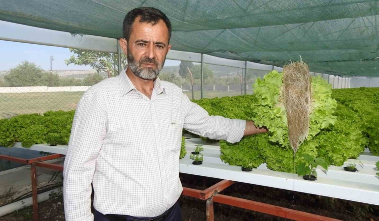 topraksiz-tarimla-30-gunde-yetistirilen-marul-70-gunde-olacak-isletmeler-icin-yeni-bir-cozum-nd5JrTCi.jpg