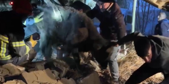 Yüksekova’da Ahırın Çökmesiyle Hayvanlar İçin Seferberlik Başladı Yüksekova’da Ahırın Çökmesiyle Hayvanlar İçin Seferberlik Başladı