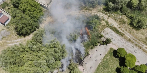 Adilcevaz'da Van Gölü Kıyısında Kafe Yakınında Sazlık Yangını Paniği Adilcevaz’da Van Gölü Kıyısında Kafe Yakınında Sazlık Yangını Paniği