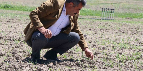 Ağrı Diyadin'de Yenilikçi Üretim Seferberliği Ağrı Diyadin’de Yenilikçi Üretim Seferberliği