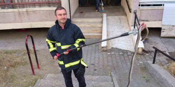 Batman'da Bina Girişindeki Yılan, Doğal Yaşam Alanına Yeniden Kazandırıldı Batman’da Bina Girişindeki Yılan, Doğal Yaşam Alanına Yeniden Kazandırıldı