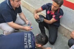 batmanda-ebabil-kuslarinin-korunmasi-icin-ozel-seferberlik-wlPKV7O8.jpg